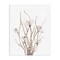 Stupell Industries Curly Floral Branches Canvas, design by Lanie Loreth